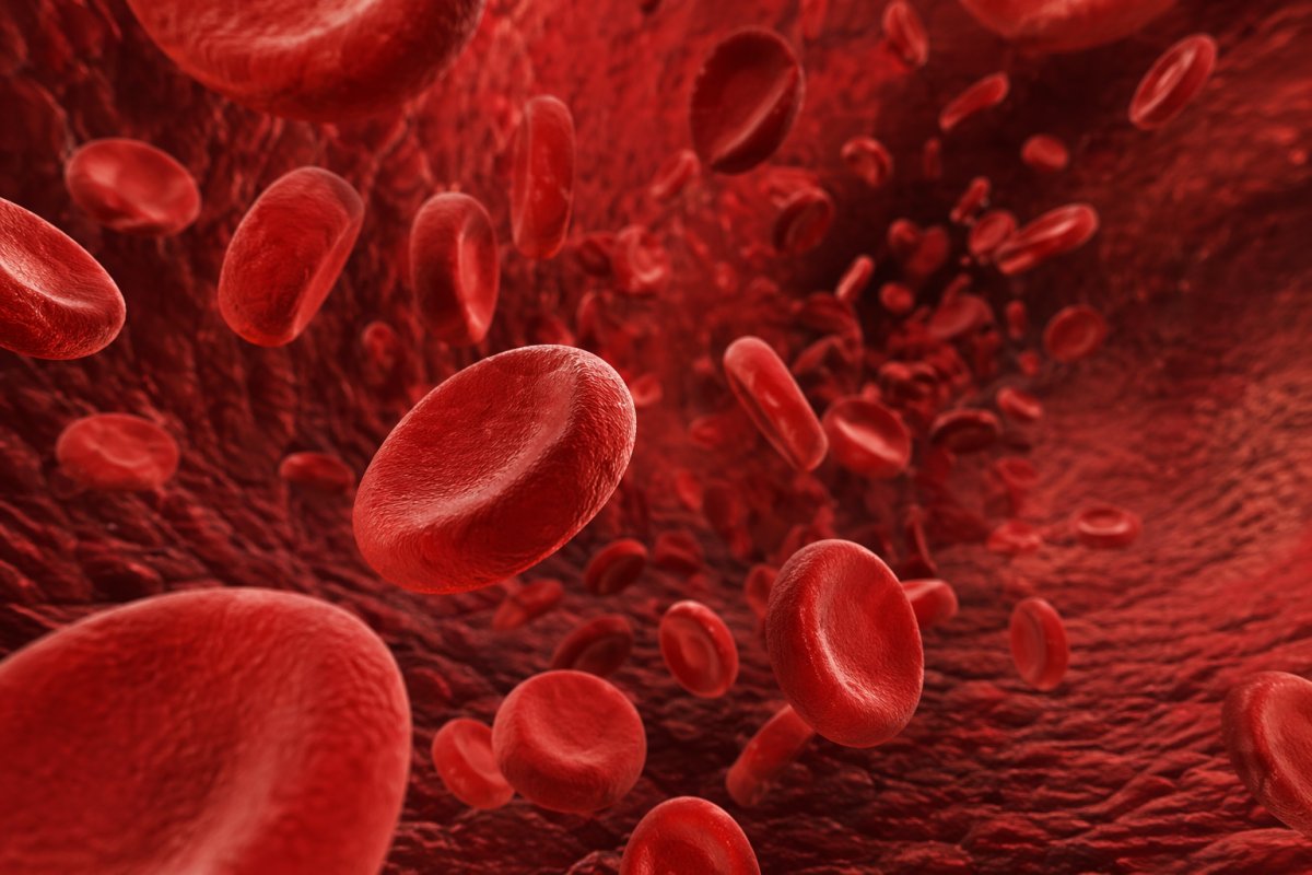 Різні сценарії сну